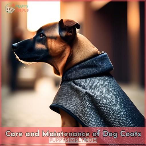 Care and Maintenance of Dog Coats