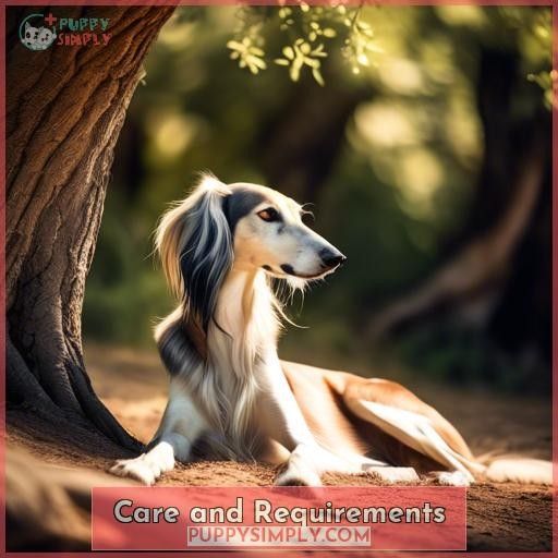 Care and Requirements