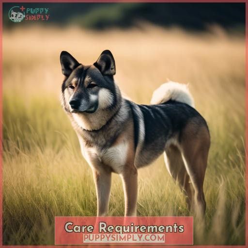Care Requirements