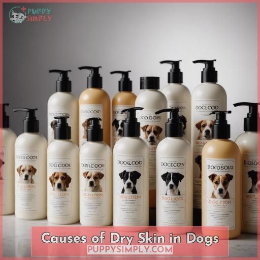 Causes of Dry Skin in Dogs