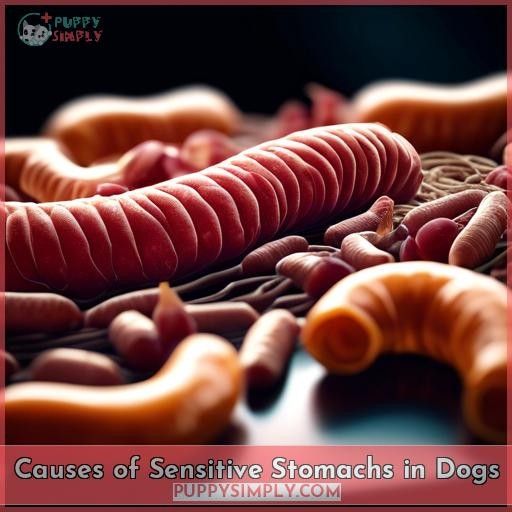 Causes of Sensitive Stomachs in Dogs