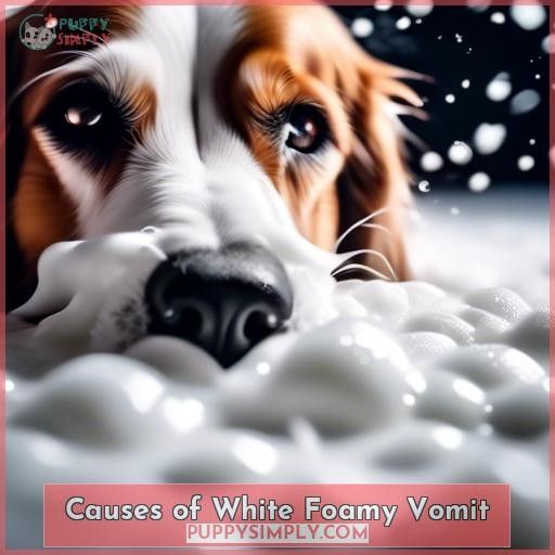 Causes of White Foamy Vomit
