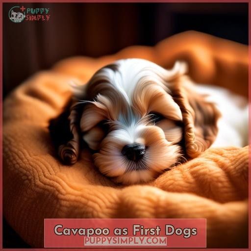 Cavapoo as First Dogs