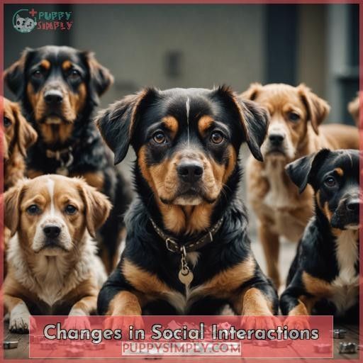 Changes in Social Interactions