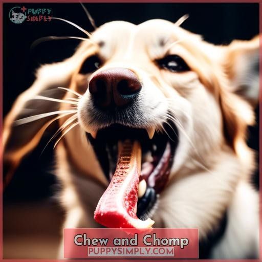 Chew and Chomp