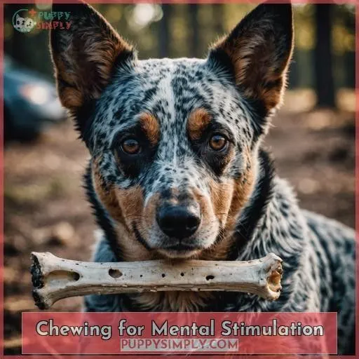 Chewing for Mental Stimulation