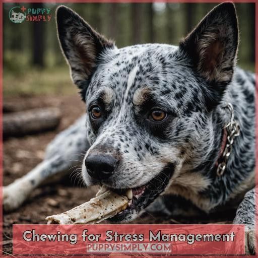 Chewing for Stress Management Chewing for Stress Management