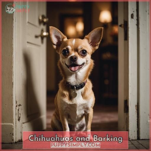 Chihuahuas and Barking