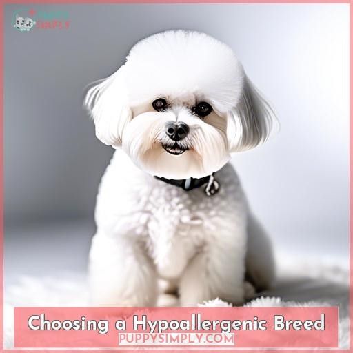 Choosing a Hypoallergenic Breed