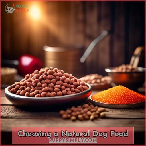 Choosing a Natural Dog Food