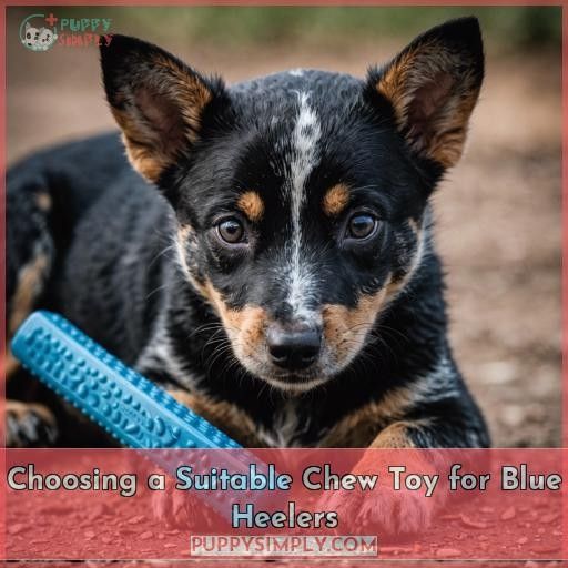 Choosing a Suitable Chew Toy for Blue Heelers