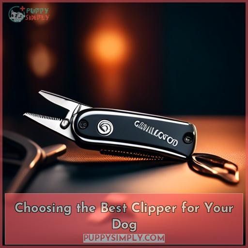 Choosing the Best Clipper for Your Dog