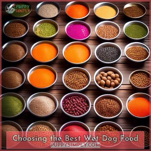 Choosing the Best Wet Dog Food