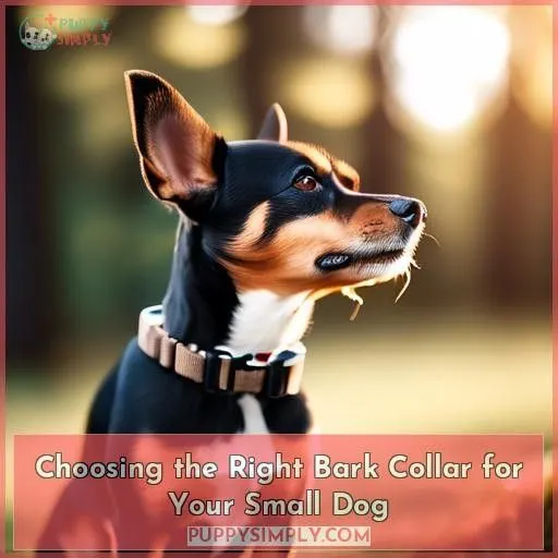 Choosing the Right Bark Collar for Your Small Dog