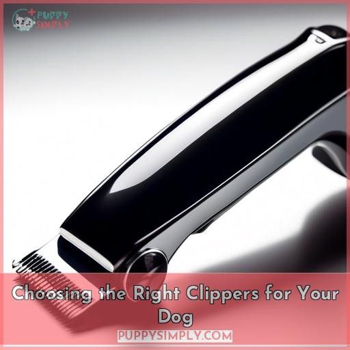 Choosing the Right Clippers for Your Dog