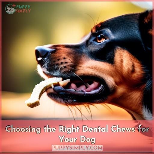 Choosing the Right Dental Chews for Your Dog