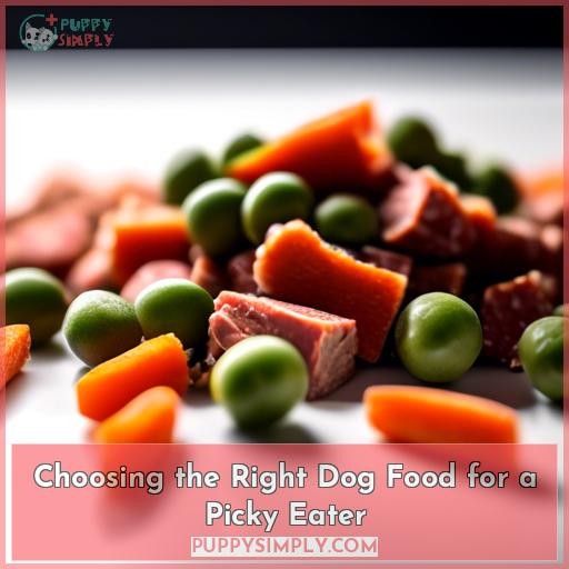 Choosing the Right Dog Food for a Picky Eater