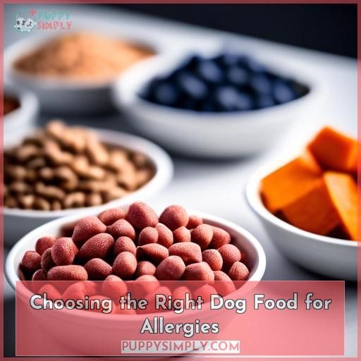 Choosing the Right Dog Food for Allergies