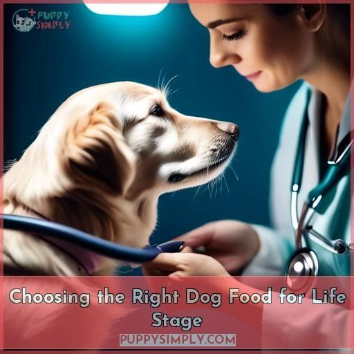 Choosing the Right Dog Food for Life Stage