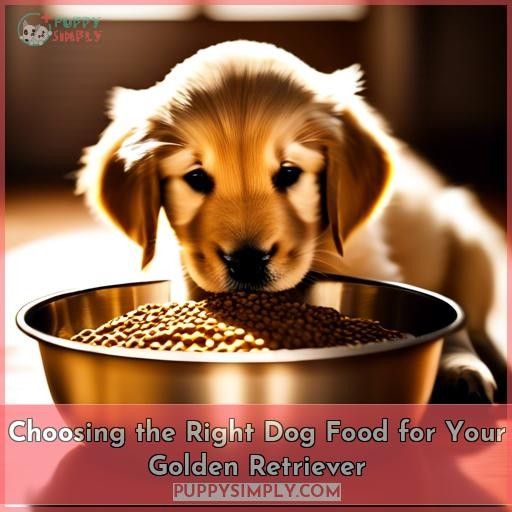 Choosing the Right Dog Food for Your Golden Retriever