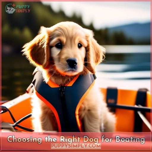 Choosing the Right Dog for Boating