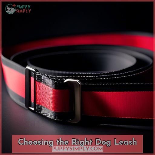Choosing the Right Dog Leash