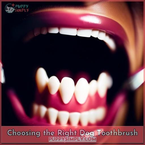 Choosing the Right Dog Toothbrush