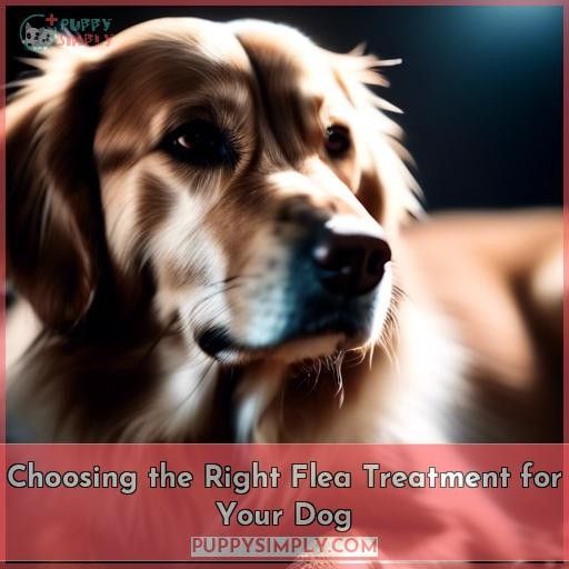 Choosing the Right Flea Treatment for Your Dog