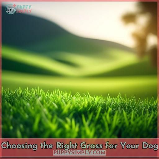 Choosing the Right Grass for Your Dog