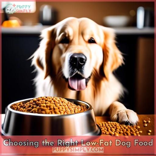 Choosing the Right Low-Fat Dog Food
