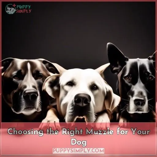 Choosing the Right Muzzle for Your Dog