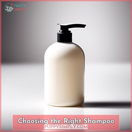 Choosing the Right Shampoo