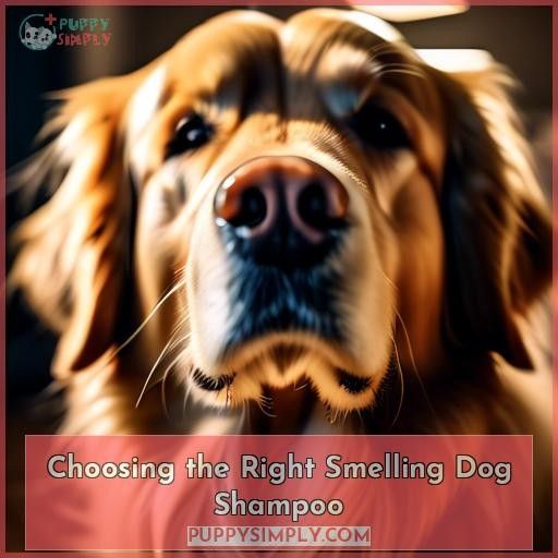 Choosing the Right Smelling Dog Shampoo