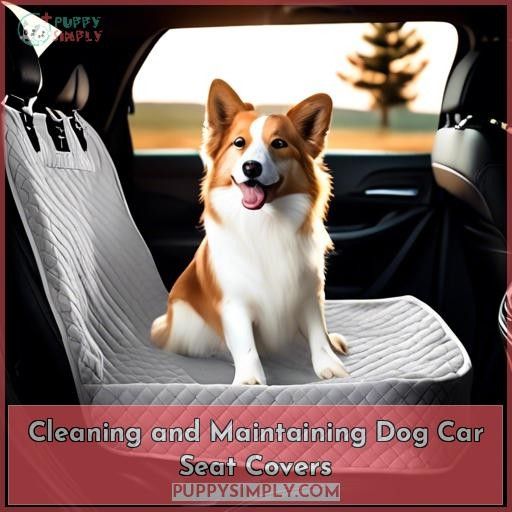 Cleaning and Maintaining Dog Car Seat Covers
