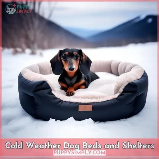 Cold Weather Dog Beds and Shelters