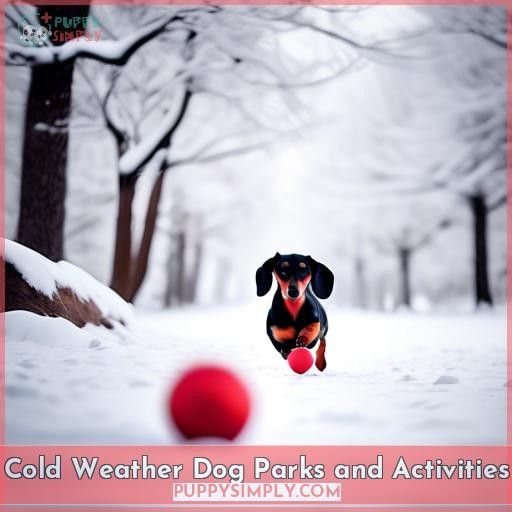Cold Weather Dog Parks and Activities
