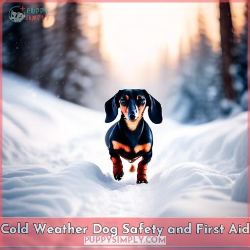 Cold Weather Dog Safety and First Aid