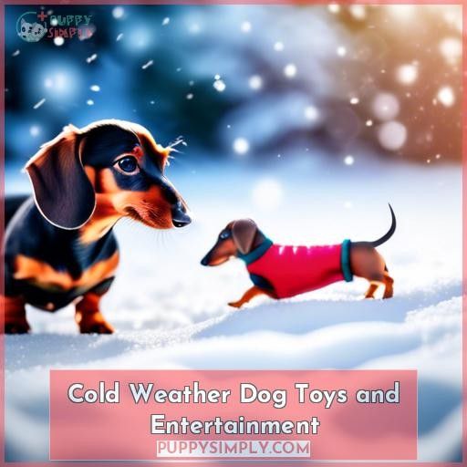 Cold Weather Dog Toys and Entertainment
