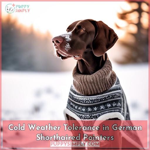 Cold Weather Tolerance in German Shorthaired Pointers