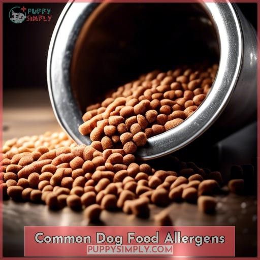 Common Dog Food Allergens