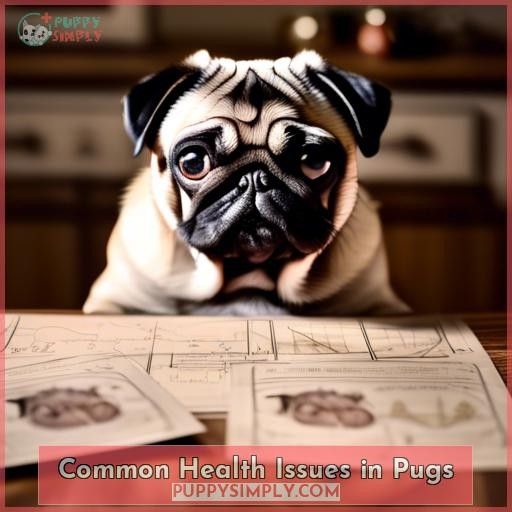 Common Health Issues in Pugs
