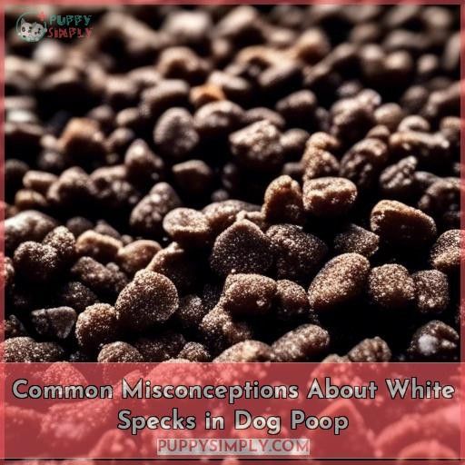 Common Misconceptions About White Specks in Dog Poop