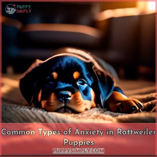 Common Types of Anxiety in Rottweiler Puppies