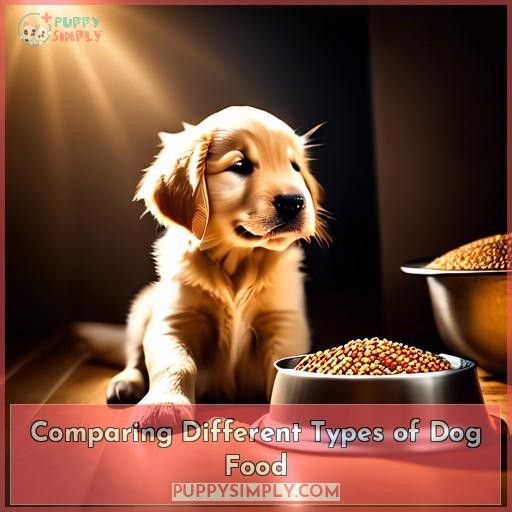 Comparing Different Types of Dog Food