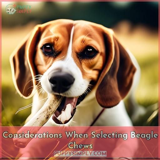 Considerations When Selecting Beagle Chews