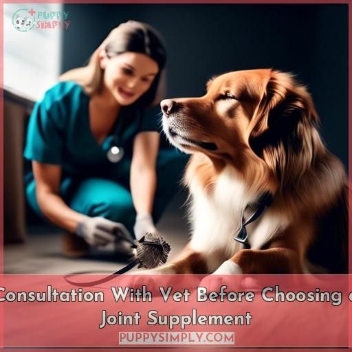 Consultation With Vet Before Choosing a Joint Supplement