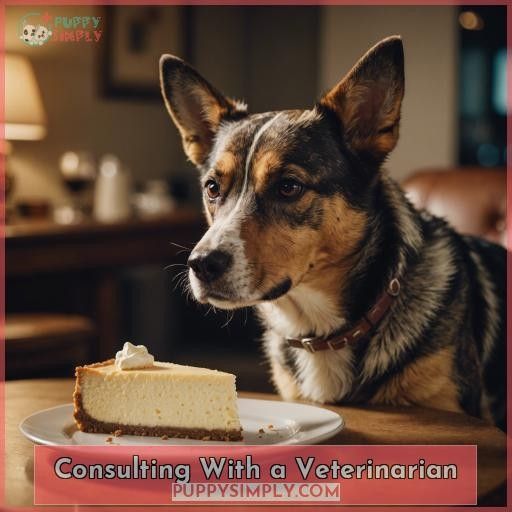 Consulting With a Veterinarian
