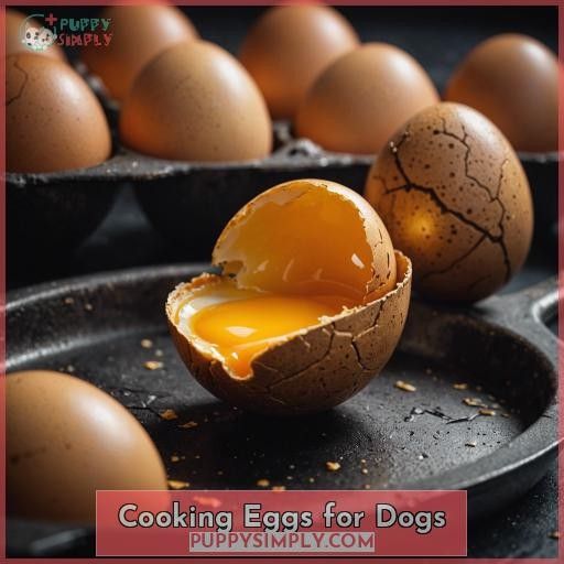 Cooking Eggs for Dogs