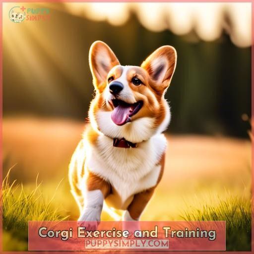 Corgi Exercise and Training Corgi Exercise and Training