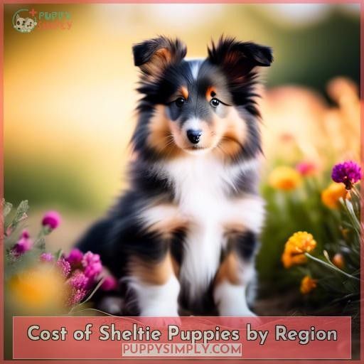 Cost of Sheltie Puppies by Region